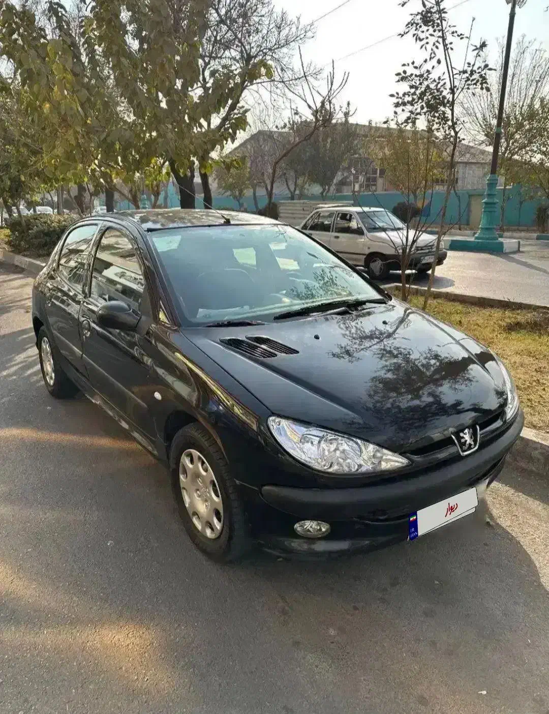 206اقساطی|خودرو سواری و وانت|سیرجان, |دیوار