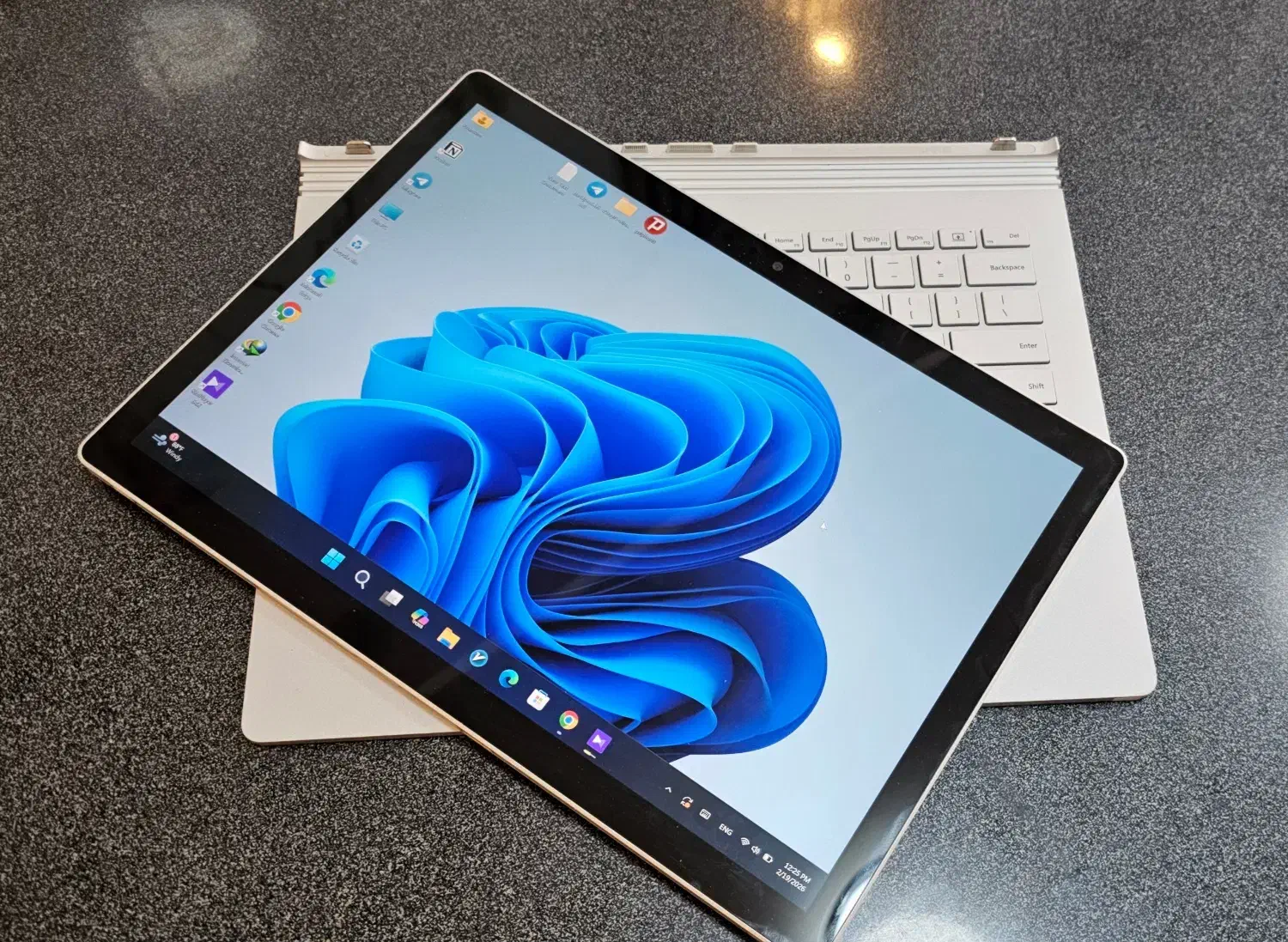 Surface Book 2|رایانه همراه|رشت, کاکتوس|دیوار