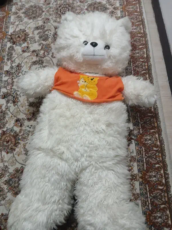 خرس|اسباب‌‌بازی|همدان, |دیوار