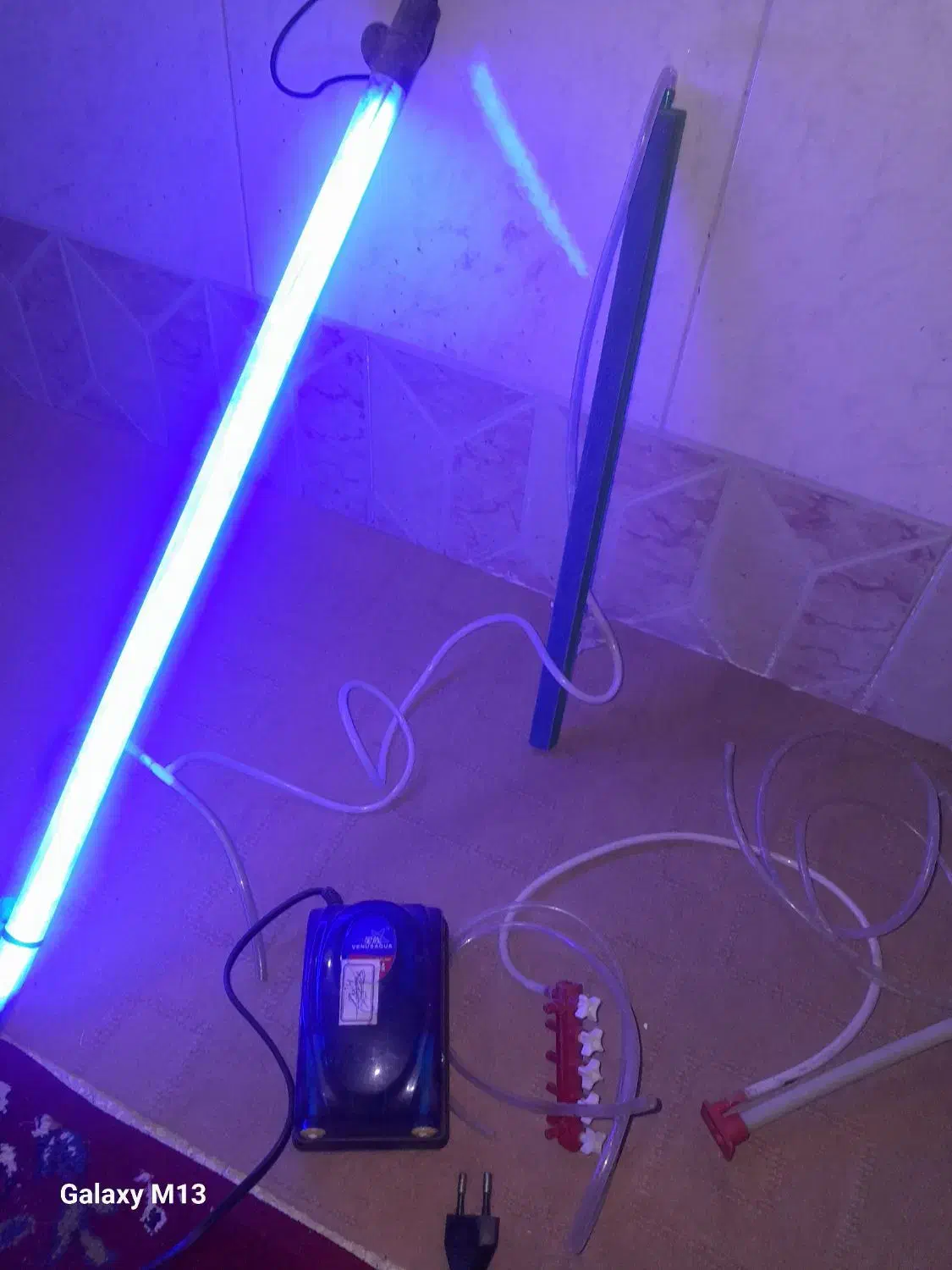 لوازم آکواریم پمپ هوا چراغ و...|ماهی|قم, حکمت شمالی|دیوار