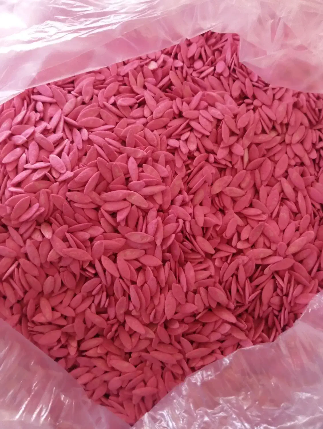 تخم خیار|گل و گیاه طبیعی|بروجرد, |دیوار