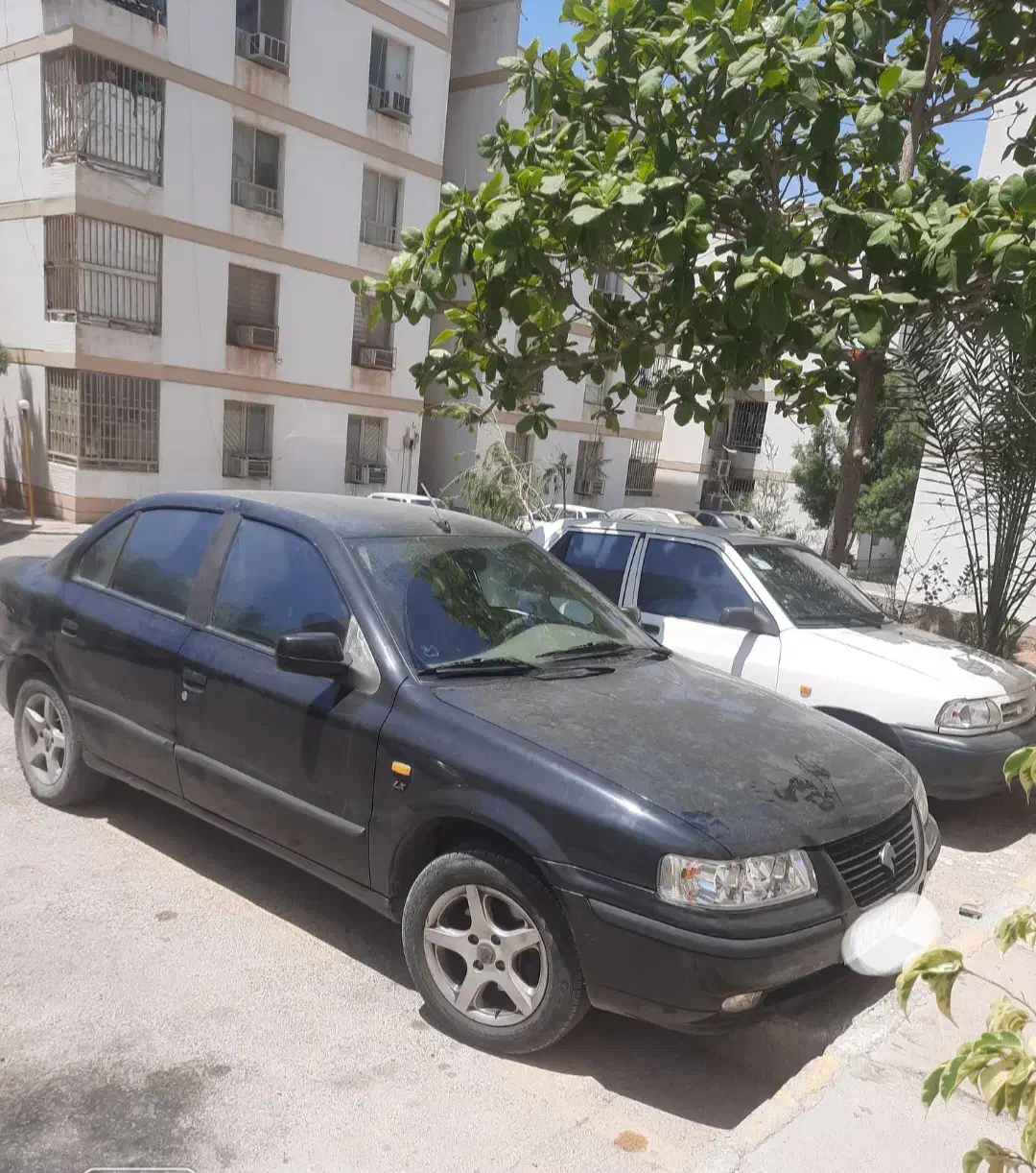 فروش خودرو سمند|خودرو سواری و وانت|بندرعباس, |دیوار