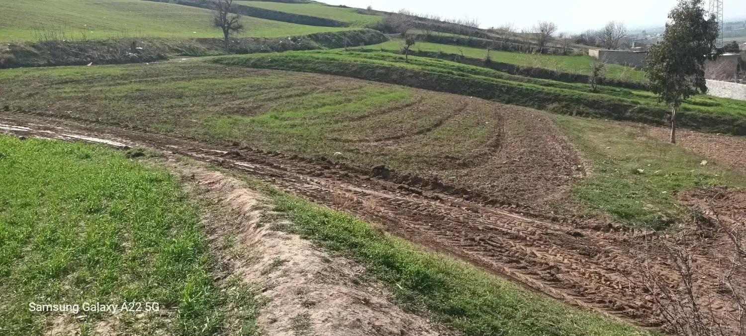 زمین مسکونی داخل بافت روستای چسبیده به خیابان|فروش زمین و ملک کلنگی|مینودشت, |دیوار