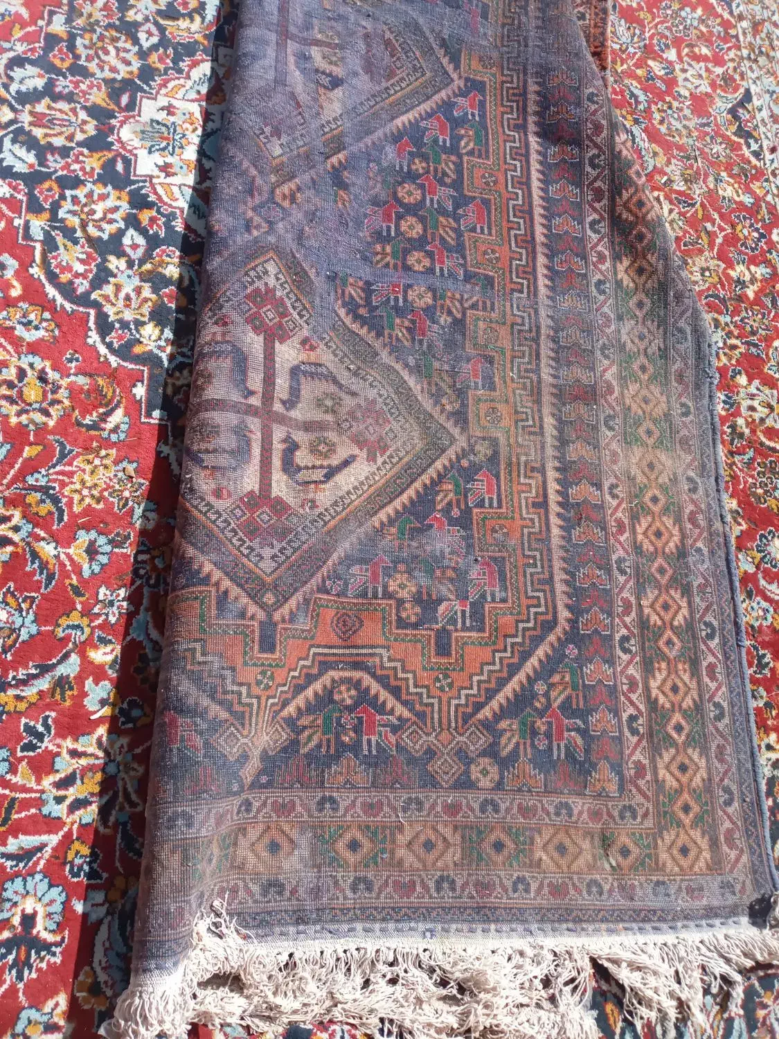 قالی دستبافت|فرش|زرند, |دیوار