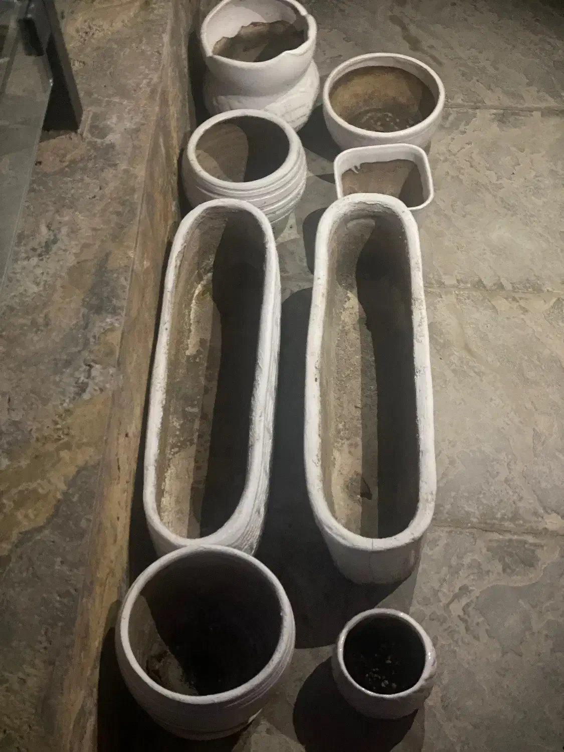 گلدان|گل و گیاه طبیعی|تهران, لویزان|دیوار