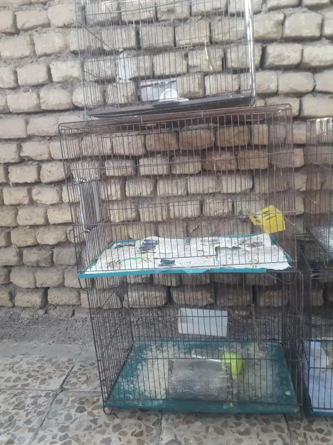 ۵ عدد قفس بزرگ همه باهم|لوازم جانبی حیوانات|اهواز, زرگان|دیوار