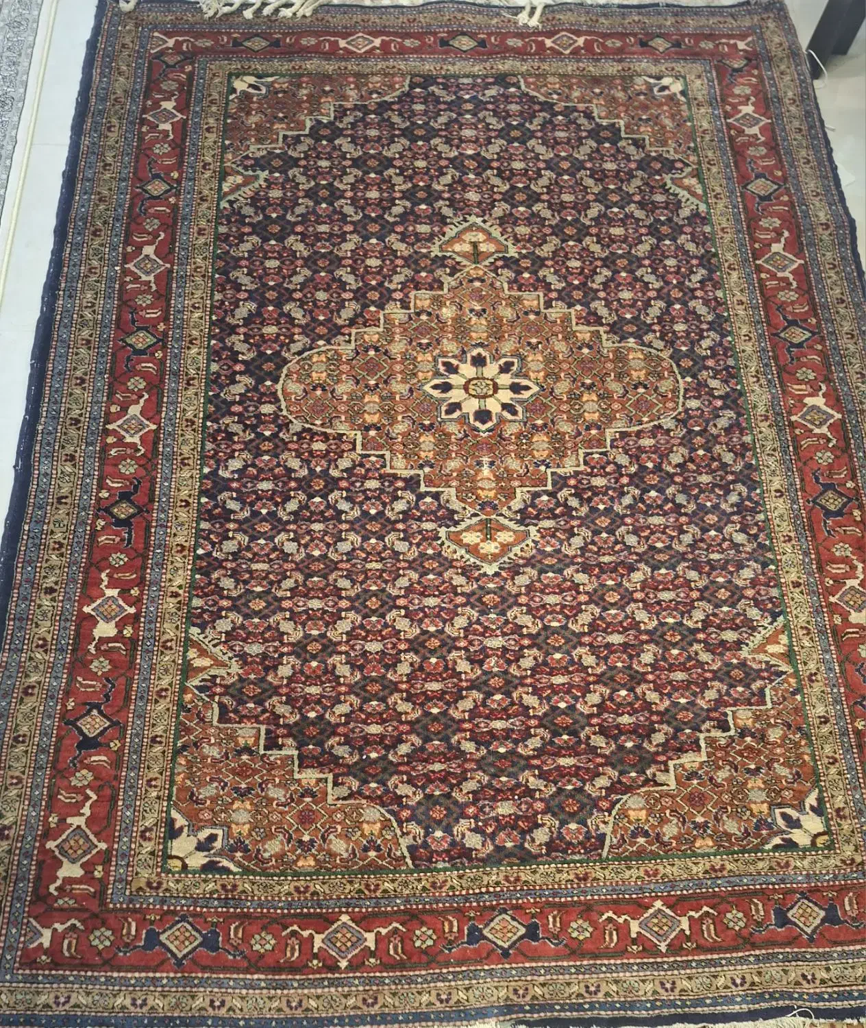 فرش طبیعی شش متری|فرش|اردبیل, |دیوار