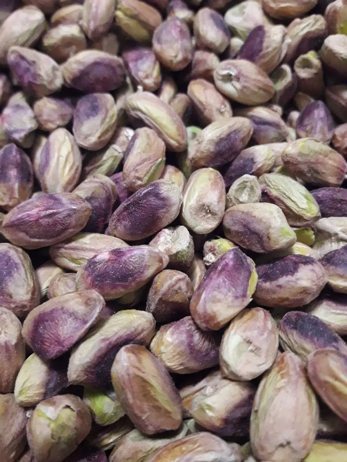 مغزپسته درجه یک|عمده‌فروشی|تربت‌حیدریه, فرمانداری|دیوار