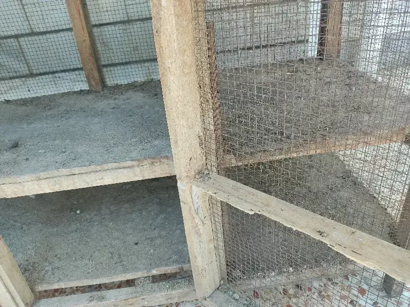 قفس پرنده، بزرگ دو طبقه|لوازم جانبی حیوانات|ایذه, |دیوار