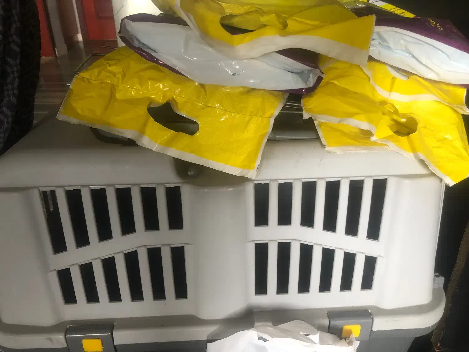 باکس سگ|لوازم جانبی حیوانات|کیش, |دیوار