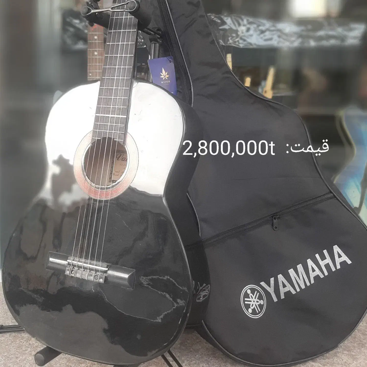 گیتار ایرانی و خارجی در موزیک ارژنگ|گیتار، بیس، امپلیفایر|پردیس, فاز ۳|دیوار