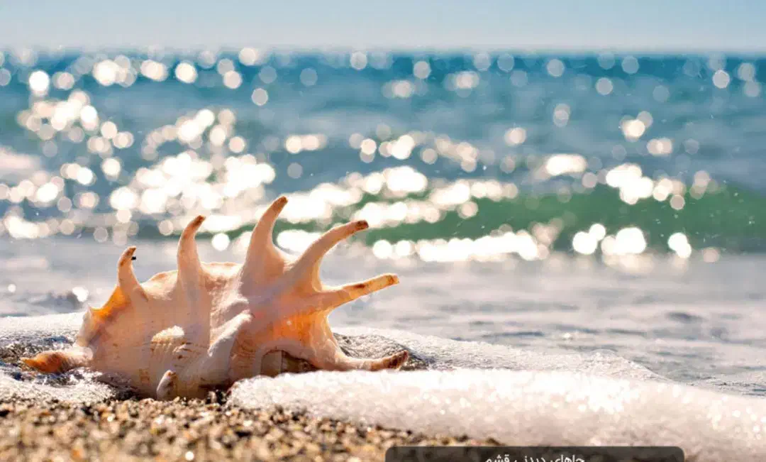 گشت جزیره قشم با سواری|تور و چارتر|درگهان, |دیوار