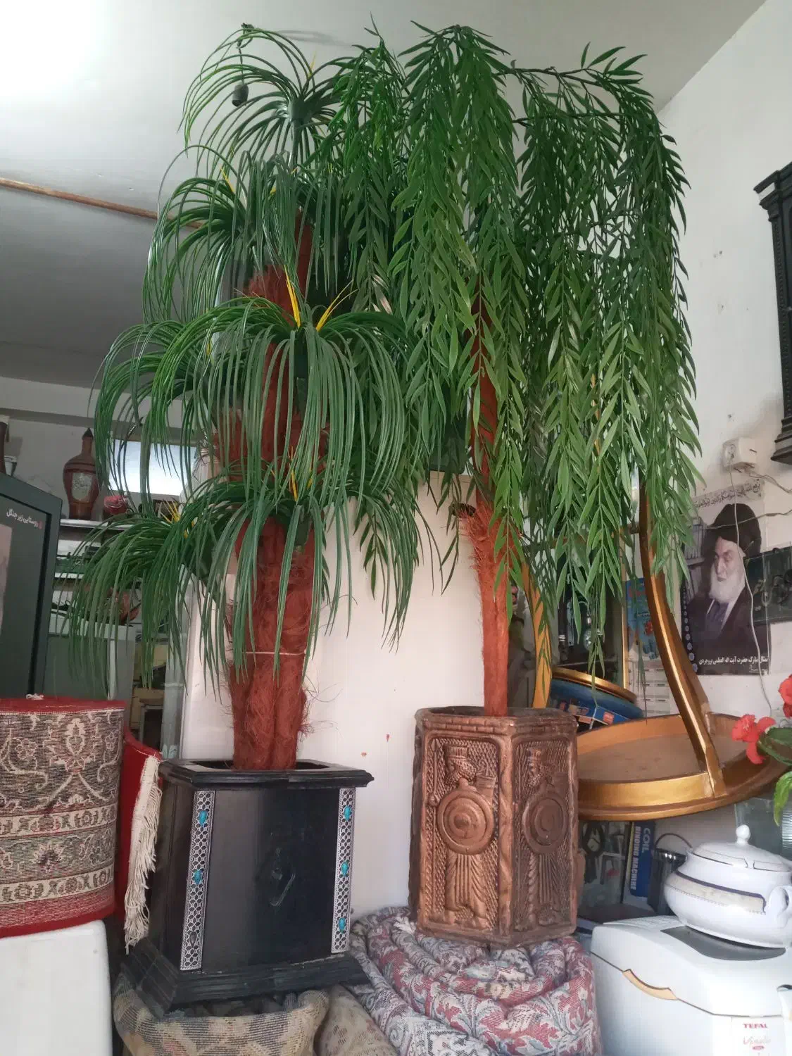 دوعدد درختچه|گل مصنوعی|بروجرد, |دیوار