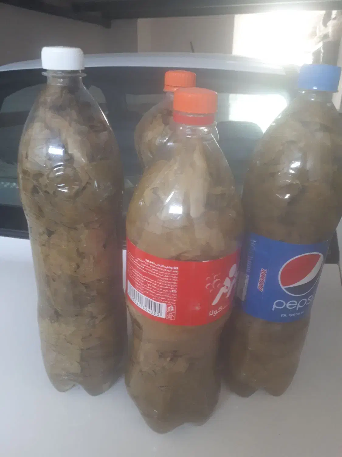 برگ مو( برگ انگور)|خوردنی و آشامیدنی|جلفا, |دیوار