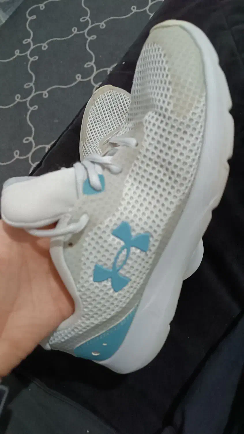 کفش آندر آرمور|کیف، کفش، کمربند|یاسوج, |دیوار