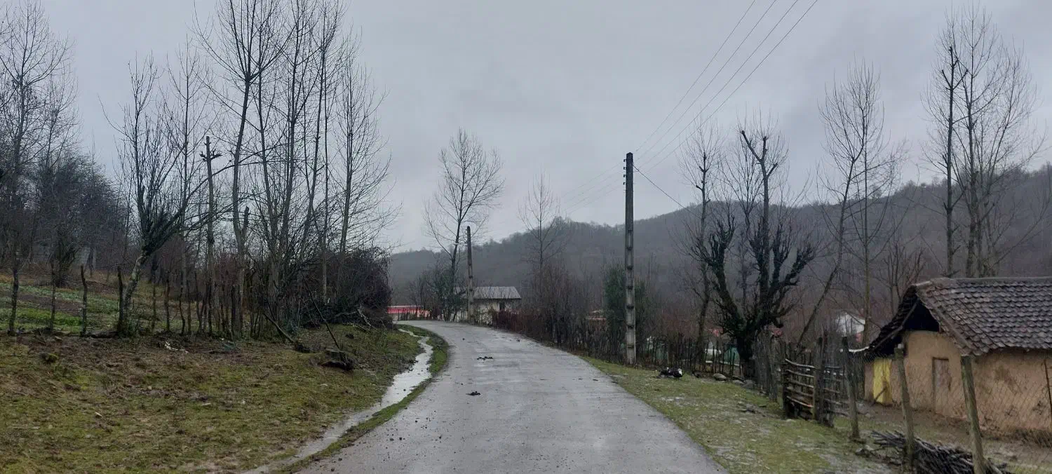 زمین مسکونی/۱۷۷مترمربع/ویو جنگل های خانه های آسیاب|فروش زمین و ملک کلنگی|آستارا, |دیوار