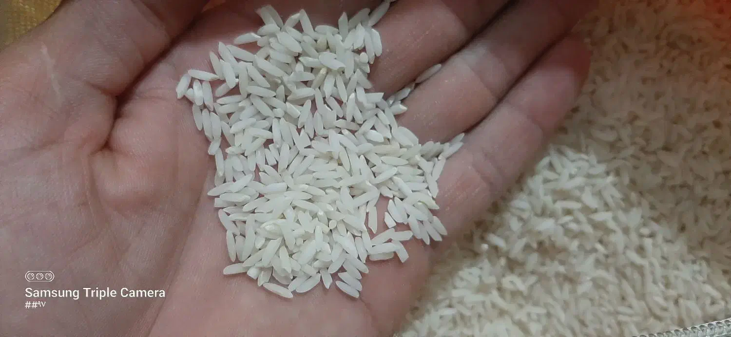 برنج محلی|خوردنی و آشامیدنی|سیلاخور, |دیوار