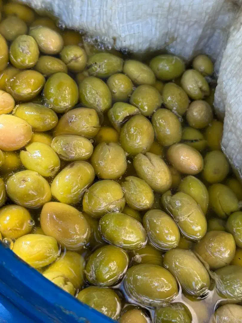 زیتون شکسته درشت وروغن زیتون|خوردنی و آشامیدنی|منجیل, |دیوار