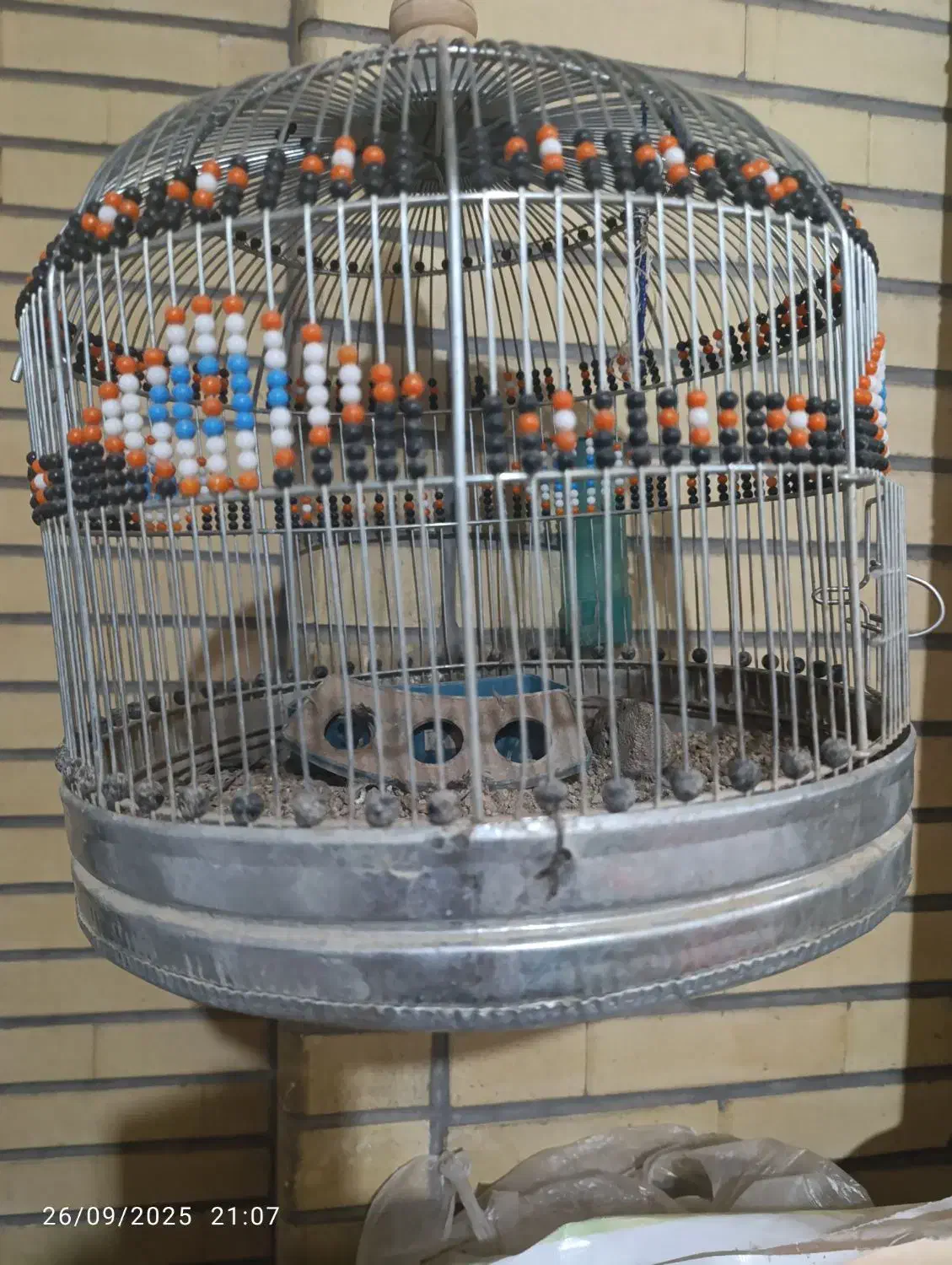 کولر و تلویزیون و دو عدد قفس و طرقه|تلویزیون و پروژکتور|قم, نیروگاه|دیوار