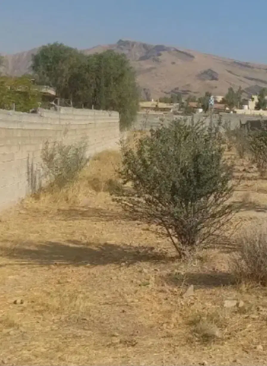 فروش زمین ۱۰۰۰ متری در نشاط|فروش زمین و ملک کلنگی|شیراز, نشاط|دیوار