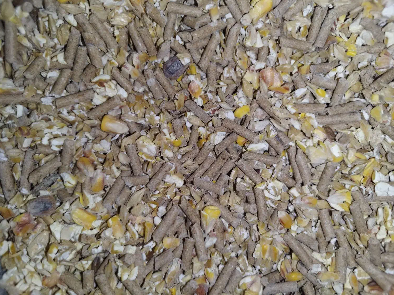 گاوگوسفندبره دان آجیلی بز|لوازم جانبی حیوانات|حمیل, |دیوار