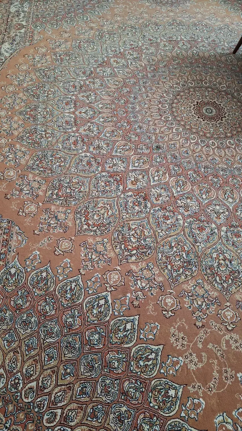 فرش دوازده متری|فرش|گلبهار, شهر جدید گلبهار|دیوار