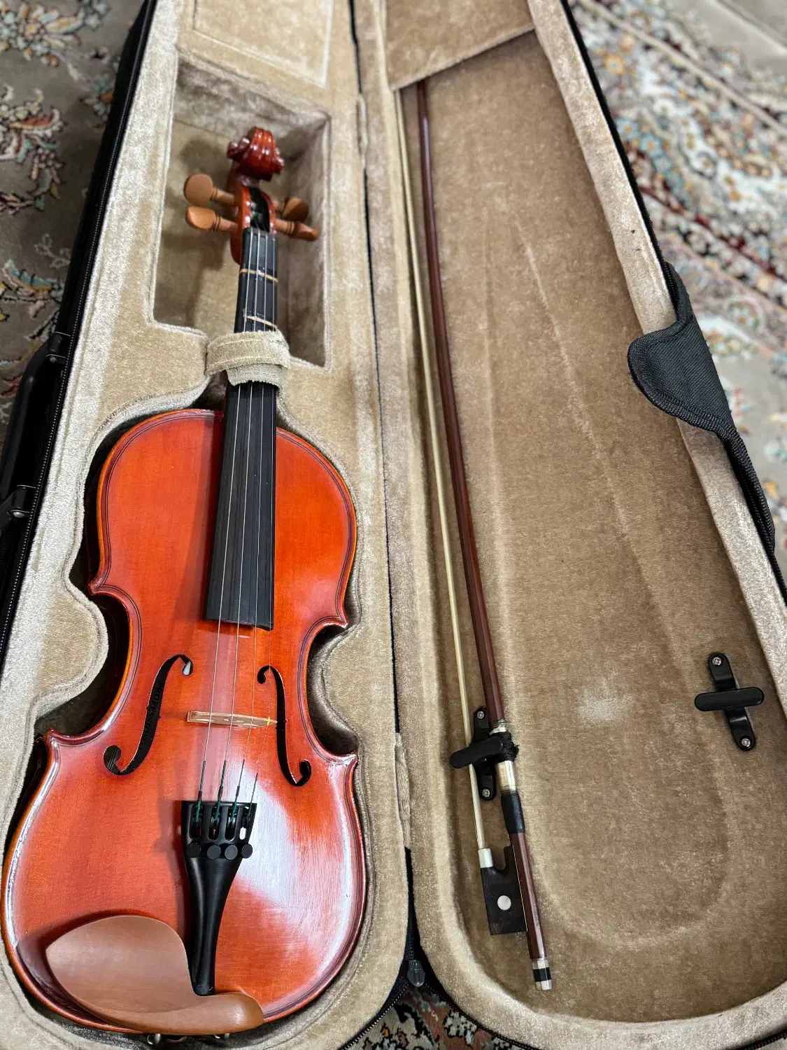 ویولن|ویولن|تهران, هروی|دیوار