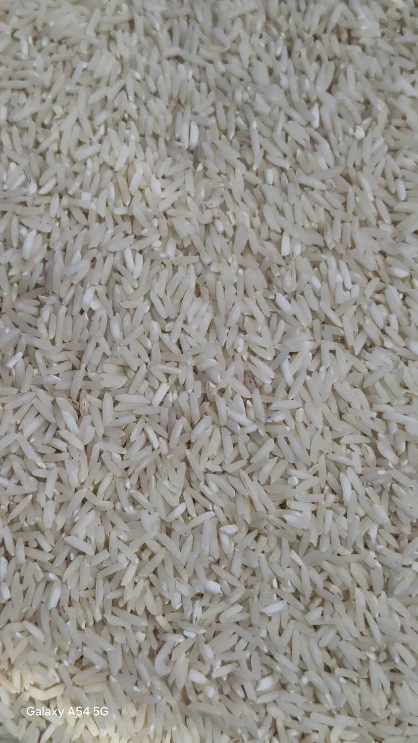 برنج دم سیاه شوراب|خوردنی و آشامیدنی|ویسیان, |دیوار