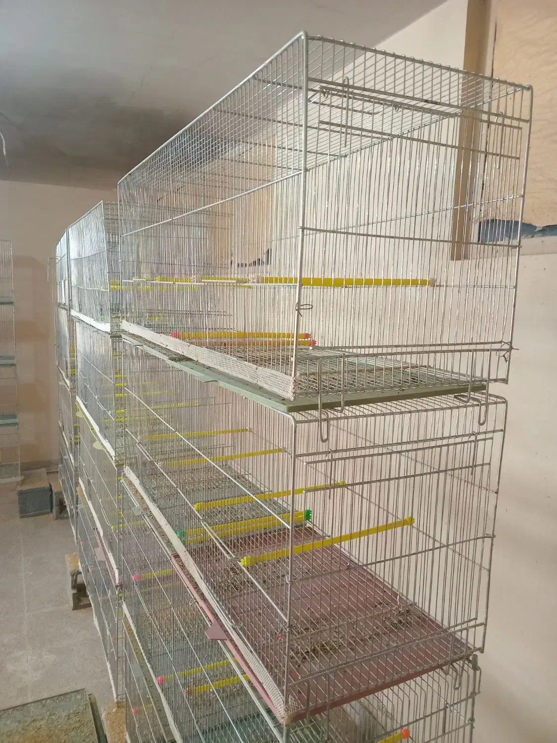 قفس|لوازم جانبی حیوانات|برخوار, |دیوار