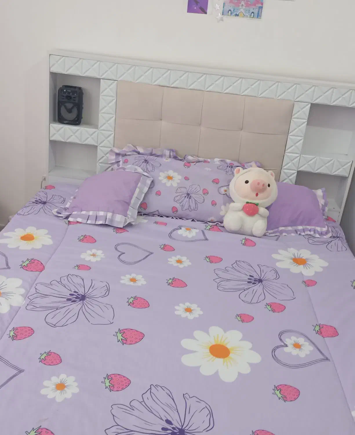 روتختی رنگ یاسی|سرویس روتختی|مهاباد (آذربایجان غربی), |دیوار