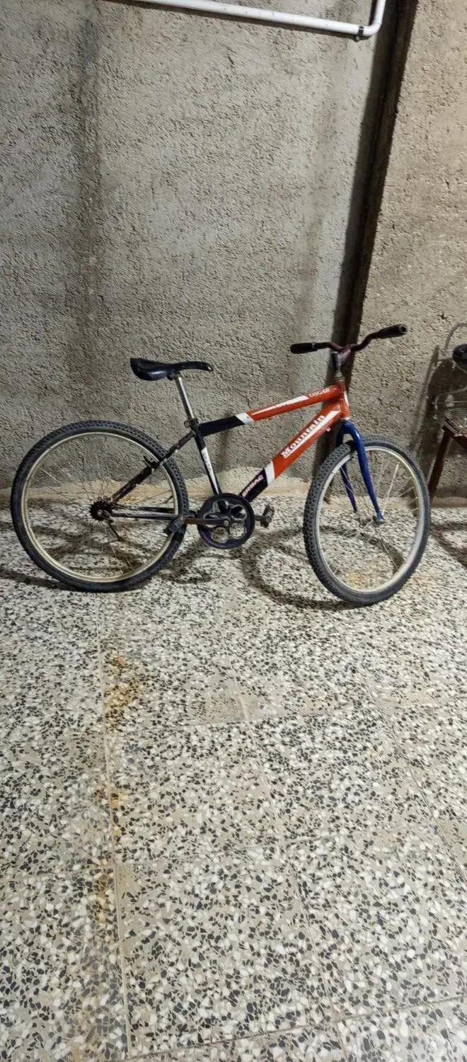 دوعدد دوچرخه|دوچرخه، اسکیت، اسکوتر|ایلام, |دیوار