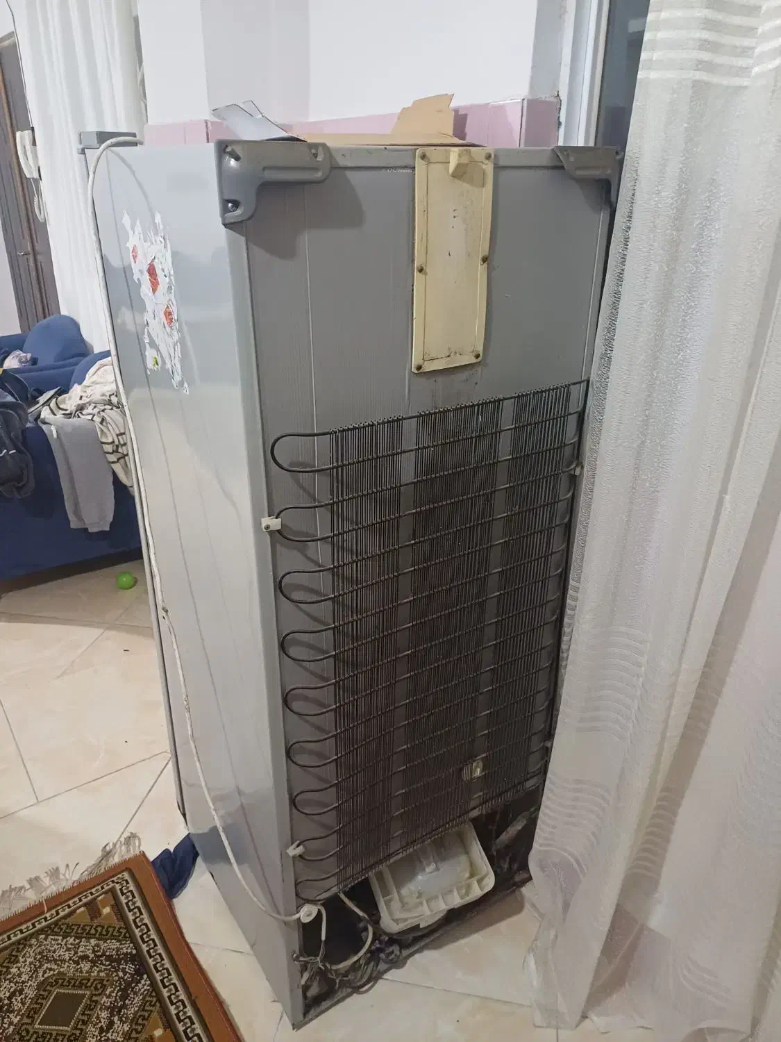 یخچال|یخچال و فریزر|سیاهکل, |دیوار