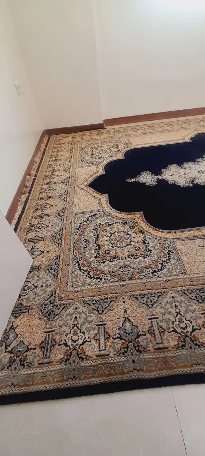 قالی ۹ متری تمیز|فرش|اهواز, سپیدار|دیوار