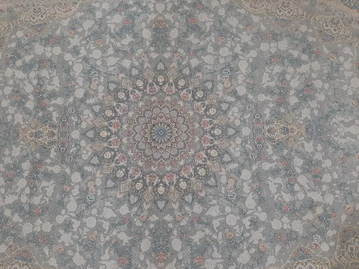 فرش ۴۵۰۰ شانه فروش نقدی یا چک معتبر|فرش|زنجان, |دیوار