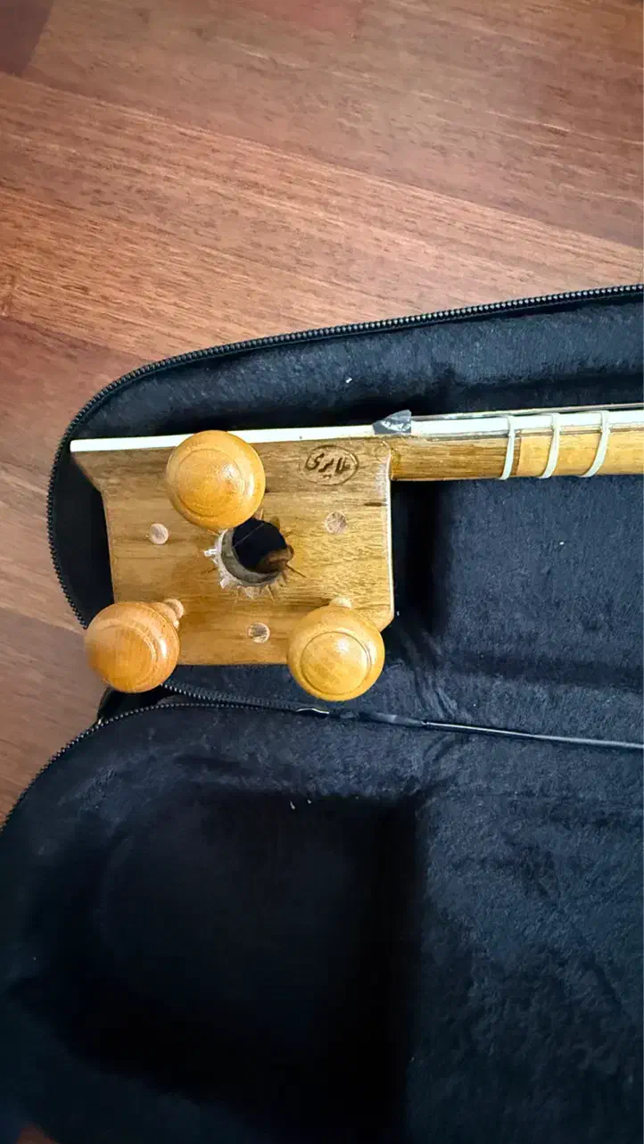 تار ایرانی حرفه ای|سازهای سنتی|ارومیه, |دیوار