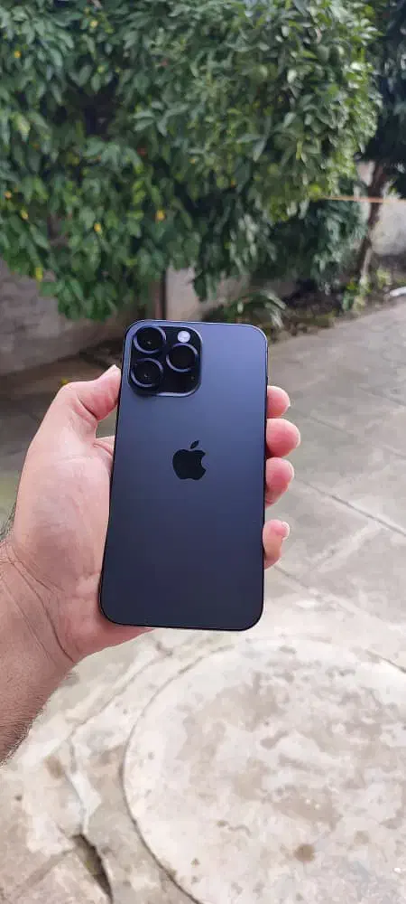 14 Promax 256za|موبایل|بندر انزلی, عباس آباد|دیوار