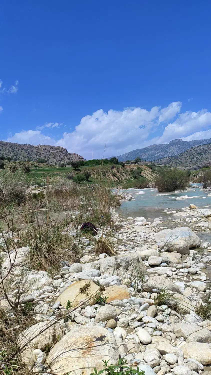 زمین کشاورزی به مساحت ۵۰۰ هکتار|فروش دفتر صنعتی، کشاورزی، تجاری|مشهد مرغاب, |دیوار