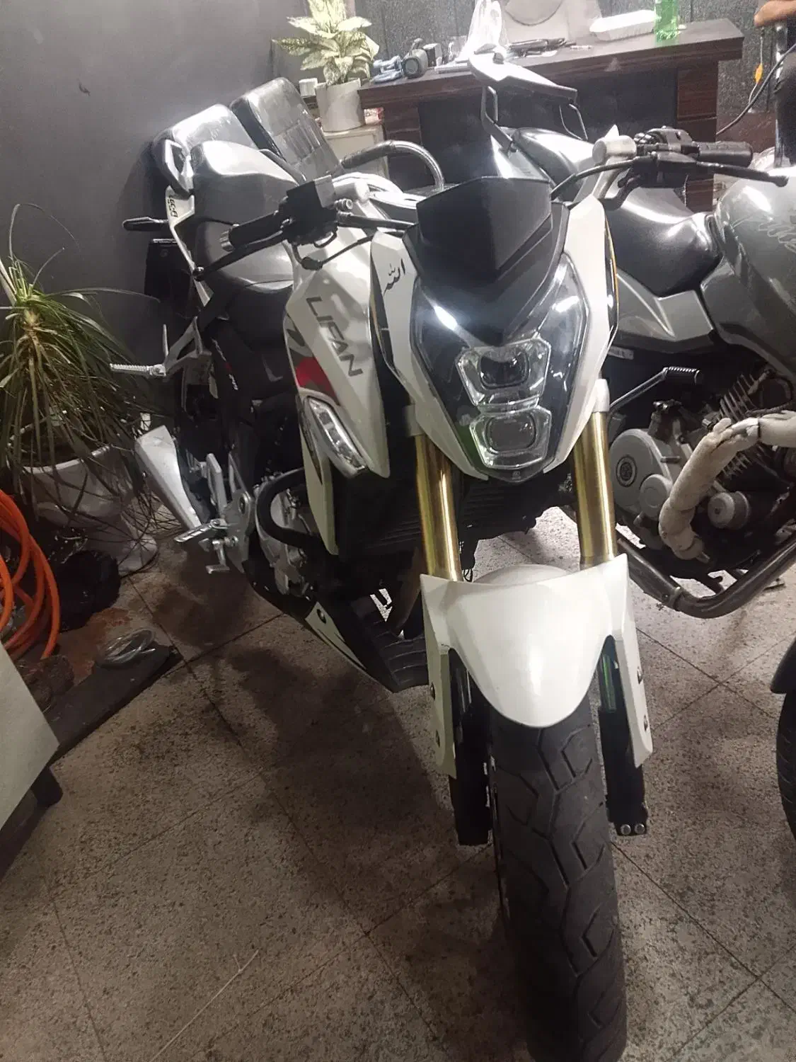 لیفان ۲۵۰|موتورسیکلت|ری, شهادت|دیوار