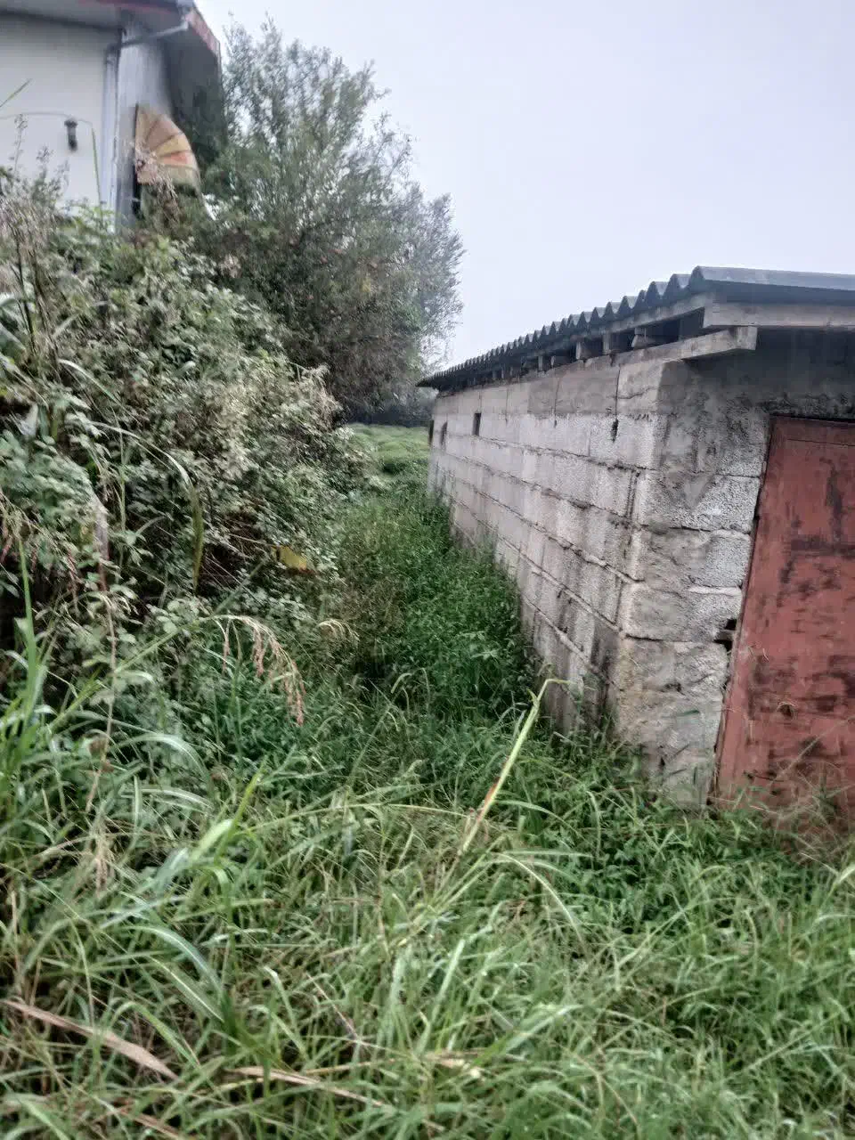زمین مسکونی سه بر در گیلان واجارگاه|فروش زمین و ملک کلنگی|واجارگاه, |دیوار