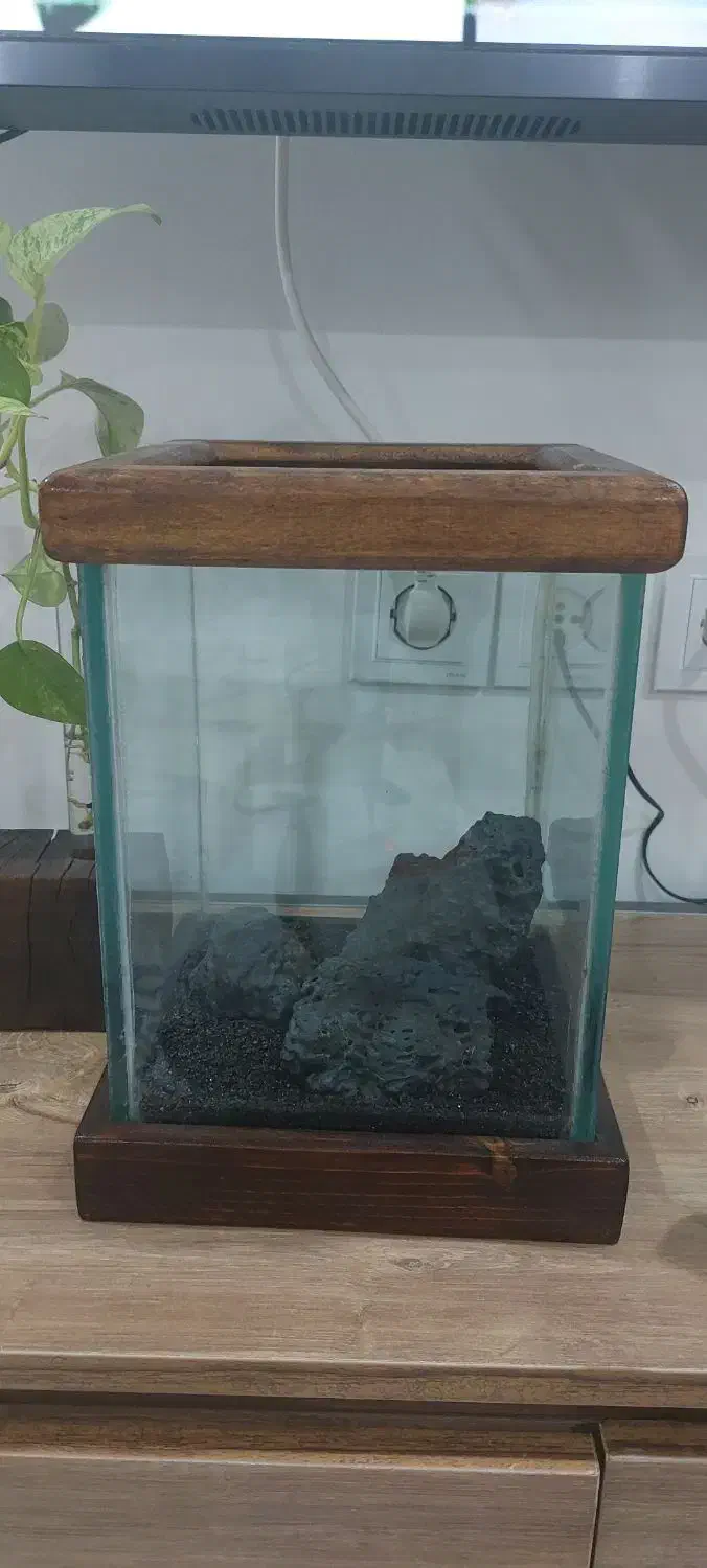 آکواریوم|ماهی|مشهد, چهارچشمه|دیوار