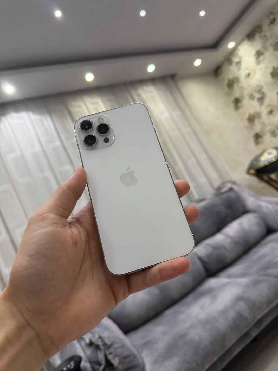 iphone 12 pro max silver|موبایل|شیراز, تپه تلویزیون|دیوار