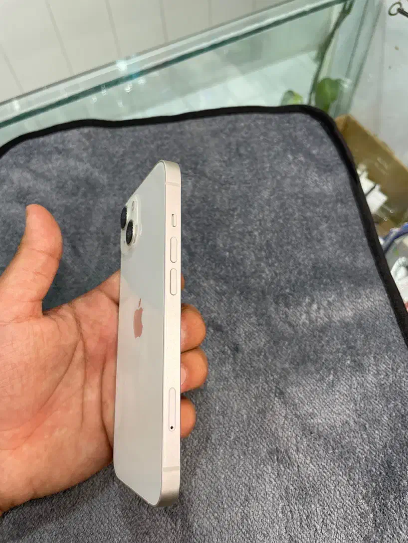 گوشی ایفون ۱۳ نرمال|موبایل|مرودشت, دولت آباد|دیوار