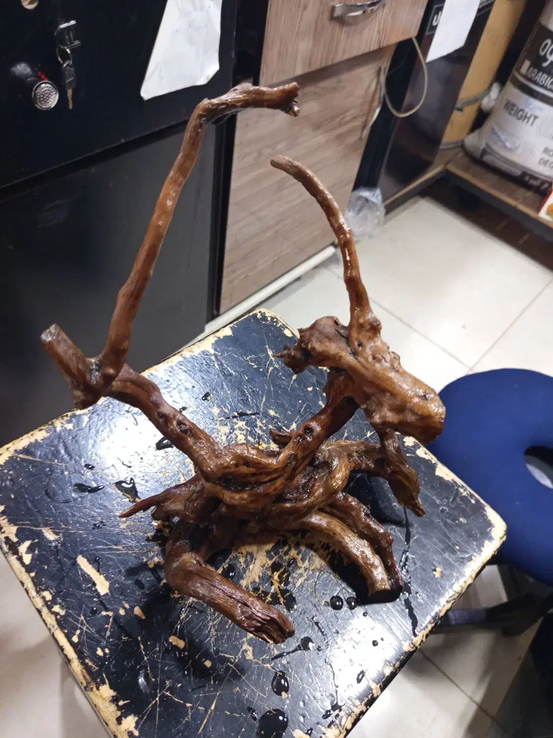 چوب آبنوس|ماهی|اهواز, کمپلو جنوبی|دیوار