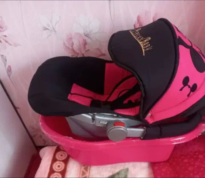 سسرویس کالسکه نواکبند|کالسکه و لوازم جانبی|صائین قلعه, |دیوار