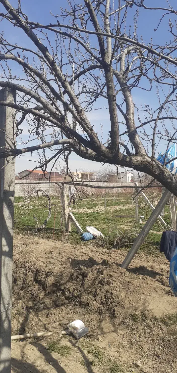 کارگر باغ باغبانی بیل زنی|خدمات باغبانی و درختکاری|ارومیه, |دیوار