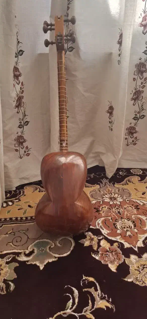 تار کلهر|سازهای سنتی|قم, باغ شریفی|دیوار