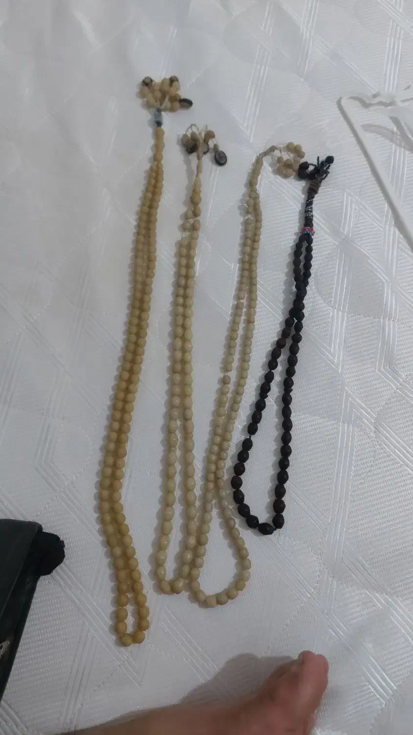 چاقو شکاری|کوهنوردی و کمپینگ|مرودشت, ژیان|دیوار