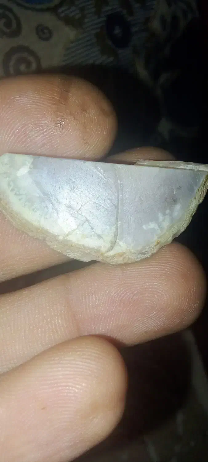 سنگ شجر|کلکسیون اشیاء عتیقه|زابل, |دیوار