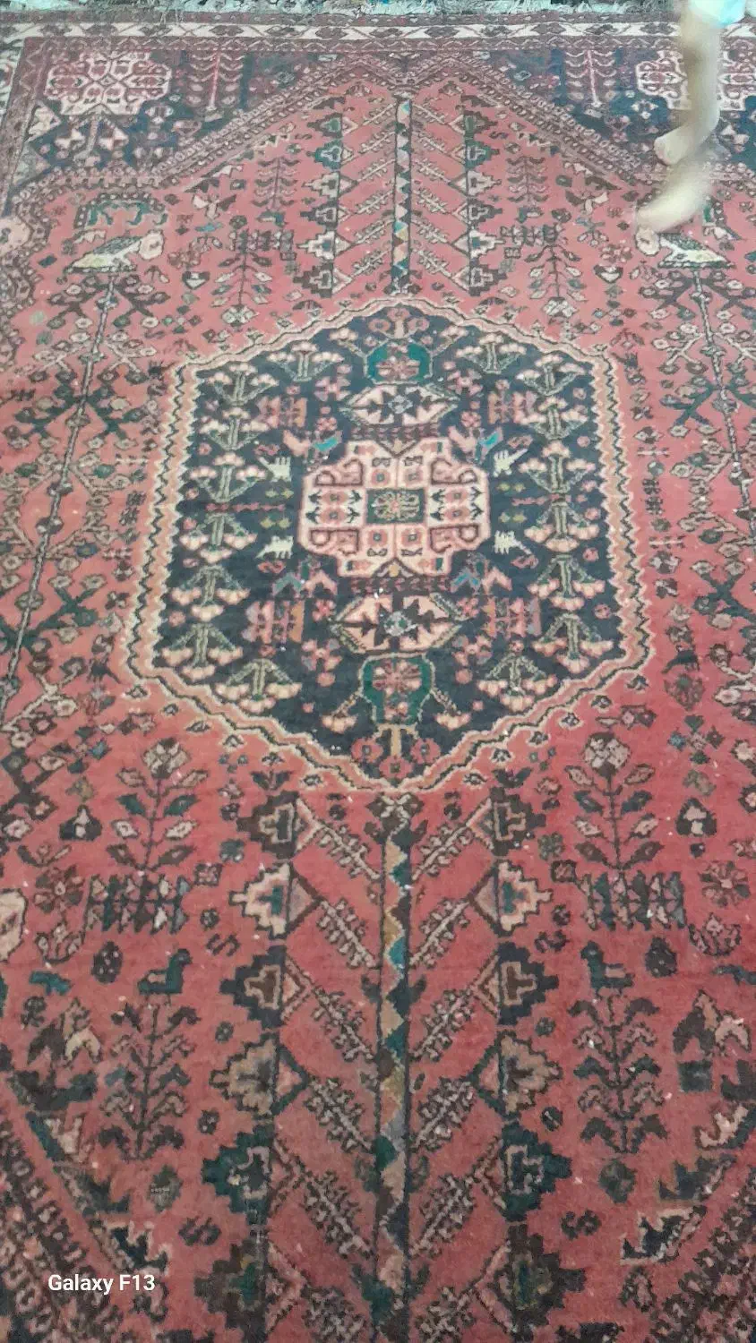 فرش دستبافت سنتی|فرش|فریدون‌کنار, |دیوار