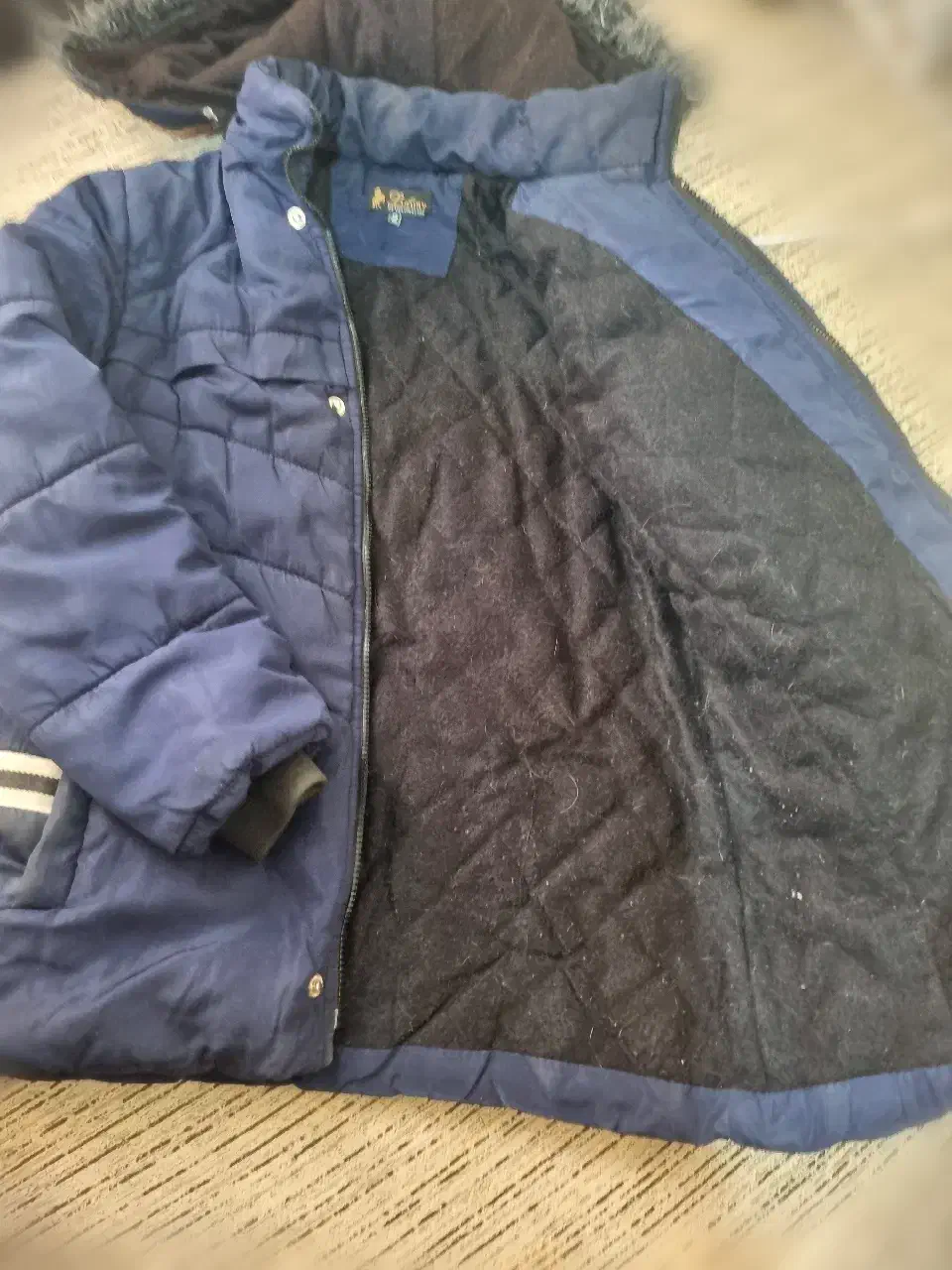 حراج کاپشن وسویشرت، بلوز پاییزی، کت جین|لباس|نیشابور, بلوار گلها|دیوار